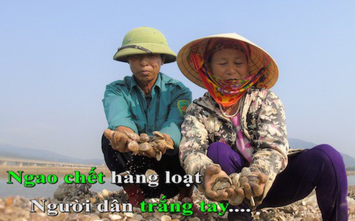Clip ngao chết hàng loạt, người dân than khóc vì lâm cảnh nợ nần