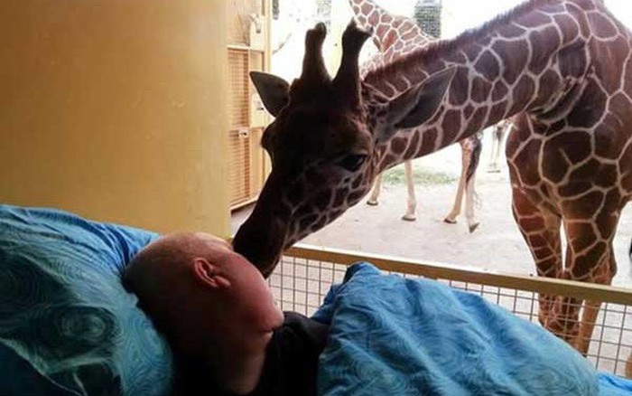 Nghẹn ngào trước những khoảnh khắc thú cưng và chủ tiễn đưa nhau lần cuối