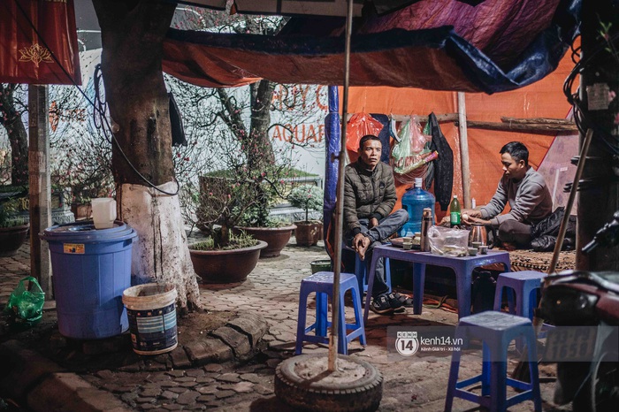 Những người nông dân chong lều canh đào, quất giữa cái lạnh 14 độ C của Hà Nội: Như đánh một canh bạc, bại nhiều hơn thắng - Ảnh 5. Những người nông dân chong lều canh đào, quất giữa cái lạnh 14 độ C của Hà Nội: Như đánh một canh bạc, bại nhiều hơn thắng - Ảnh 5.