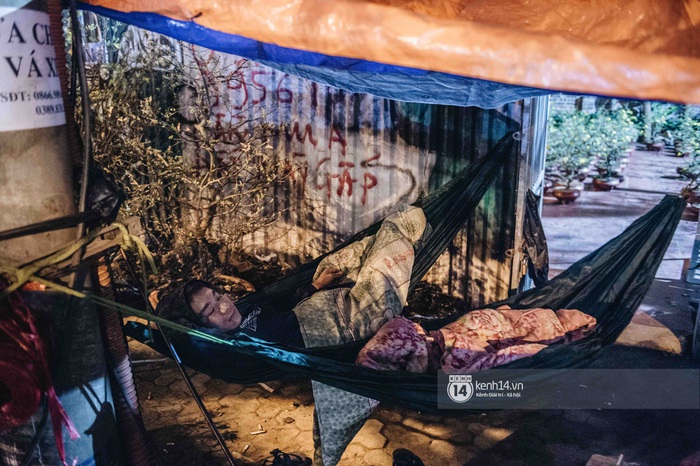 Những người nông dân chong lều canh đào, quất giữa cái lạnh 14 độ C của Hà Nội: Như đánh một canh bạc, bại nhiều hơn thắng - Ảnh 10. Những người nông dân chong lều canh đào, quất giữa cái lạnh 14 độ C của Hà Nội: Như đánh một canh bạc, bại nhiều hơn thắng - Ảnh 10.