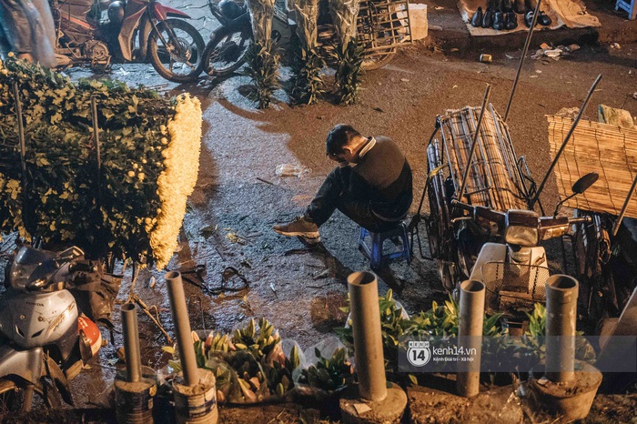 Những người nông dân chong lều canh đào, quất giữa cái lạnh 14 độ C của Hà Nội: Như đánh một canh bạc, bại nhiều hơn thắng - Ảnh 1. Những người nông dân chong lều canh đào, quất giữa cái lạnh 14 độ C của Hà Nội: Như đánh một canh bạc, bại nhiều hơn thắng - Ảnh 1.