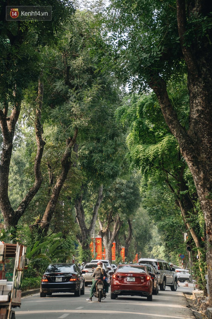 Những tuyến phố có hàng cây xanh được quy hoạch 100 năm trước ở Hà Nội giờ ra sao? - Ảnh 12.