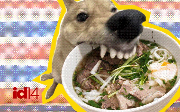 Nghệ thuật Comfort Food: Tại sao khi cô đơn, chúng ta lại thèm một bát phở nóng?