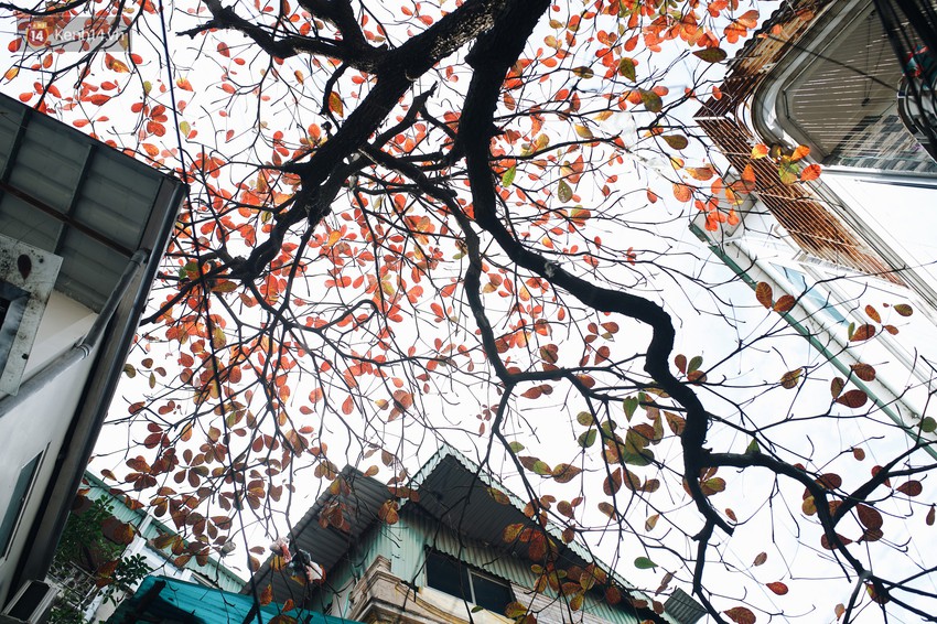 H&agrave; Nội những ng&agrave;y m&ugrave;a đ&ocirc;ng c&oacute; nắng, kh&ocirc;ng ra đường ch&iacute;nh l&agrave; c&oacute; lỗi với thời tiết - Ảnh 6.