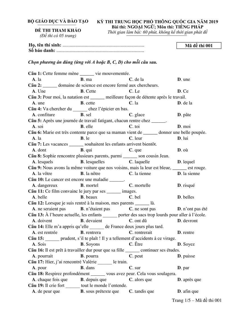 Đề thi minh hoạ THPT Quốc gia năm 2019: Tiếng Pháp - Ảnh 1.