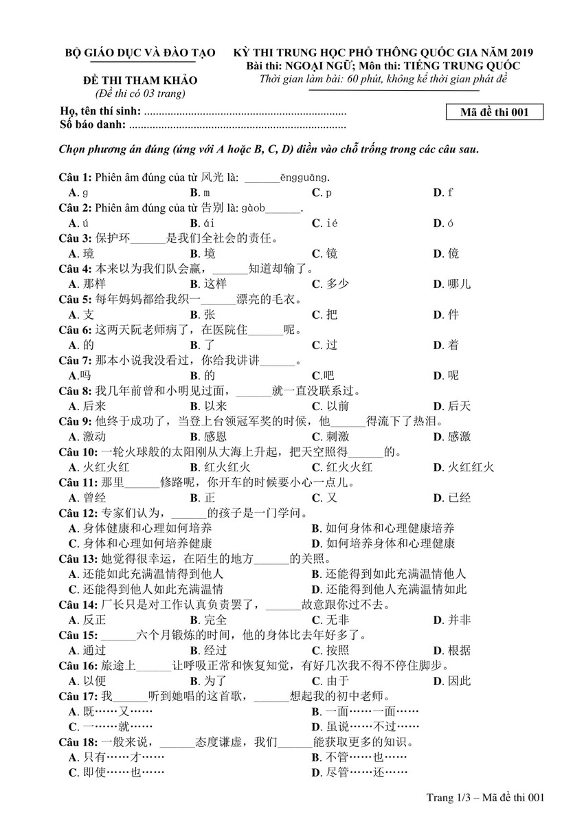 Đề thi minh hoạ THPT Quốc gia năm 2019: Tiếng Trung - Ảnh 1.