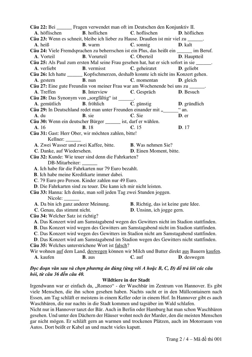 Đề thi minh hoạ THPT Quốc gia 2019: Tiếng Đức - Ảnh 2.
