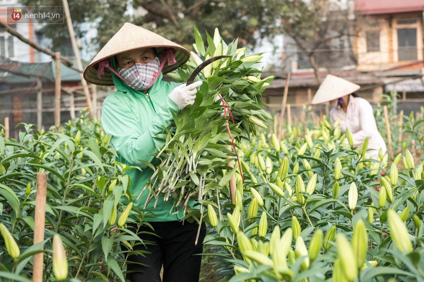 8/3 của những người phụ nữ không bao giờ thiếu hoa: “Mình thích thì mang hoa về tự cắm, chẳng cần chờ ai tặng cả!” - Ảnh 5.