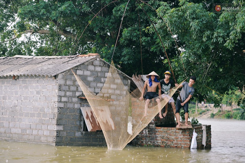 Chùm ảnh: Người lớn, trẻ nhỏ Hà Nội mặc áo phao ùa ra đường tỉnh lộ bơi lội, đánh cá sau nhiều ngày mưa ngập - Ảnh 12.