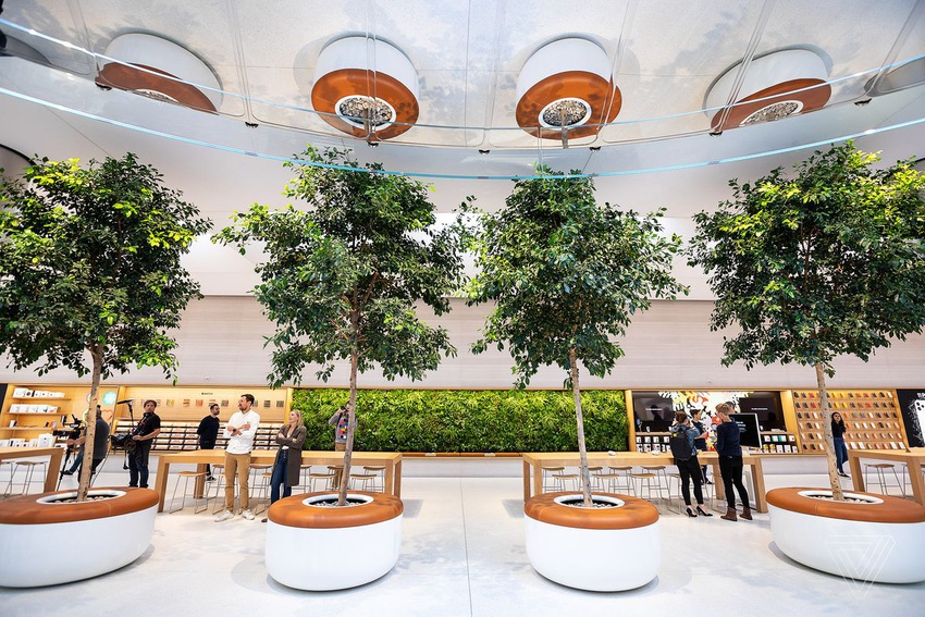 Vẻ đẹp gây nghiện của Apple Store chất nhất thế giới: Kiệt tác dưới lòng đất, hút khách hơn cả tượng Nữ thần Tự do - Ảnh 7.