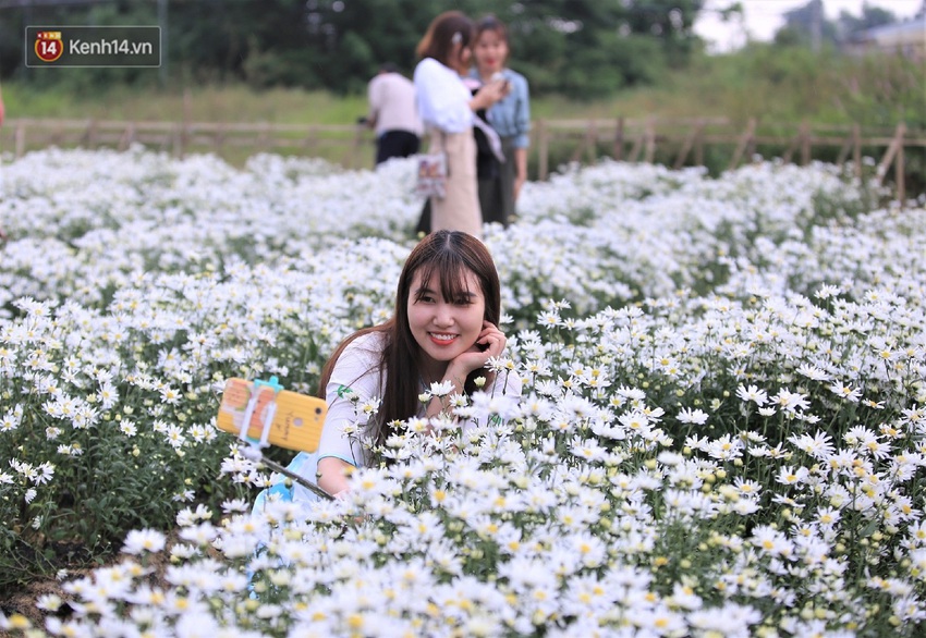 Hàng nghìn người chen chúc “check in” vườn cúc họa mi lần đầu tiên được trồng ở Đà Nẵng - Ảnh 4.