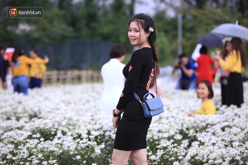 Hàng nghìn người chen chúc “check in” vườn cúc họa mi lần đầu tiên được trồng ở Đà Nẵng - Ảnh 16.