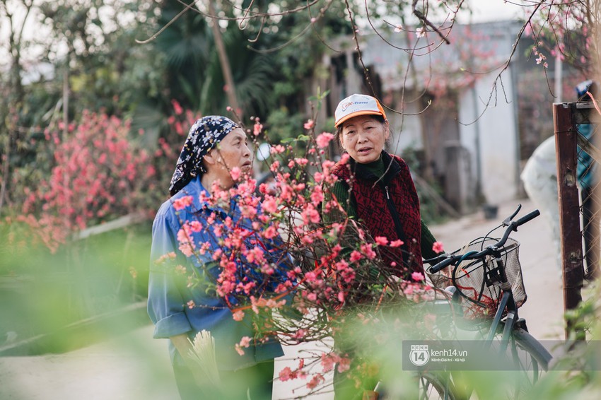 Chùm ảnh: Hà Nội 27 Tết đẹp dịu dàng, mộc mạc và ấm áp trong nắng Xuân sớm - Ảnh 8.