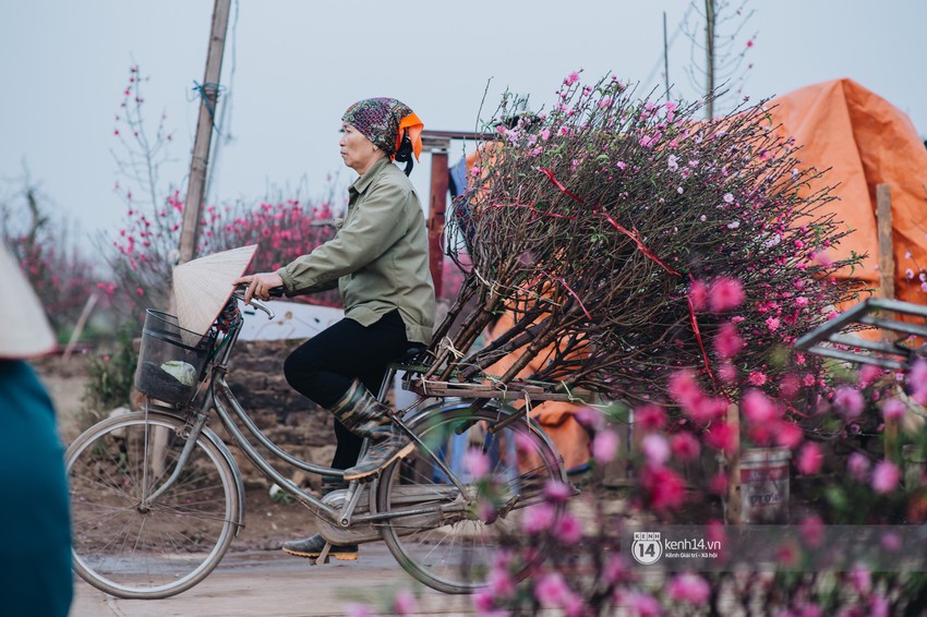 Chùm ảnh: Hà Nội 27 Tết đẹp dịu dàng, mộc mạc và ấm áp trong nắng Xuân sớm - Ảnh 9.