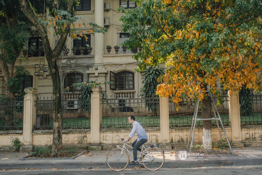 Hà Nội những ngày mùa xuân lá đỏ lá vàng: Đẹp mãi thế này thì khỏi cần đi Hàn hay Nhật luôn nhỉ? - Ảnh 10.