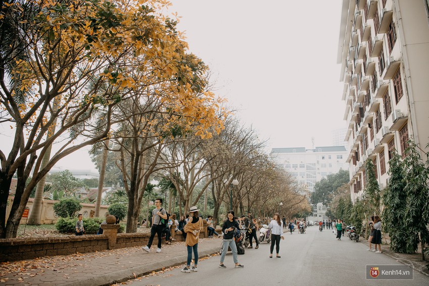 Sự thật phũ phàng tại con đường tình yêu đẹp nhất Hà Nội: Lá vàng rụng hết, người chật như nêm tranh chụp ảnh sống ảo - Ảnh 6.