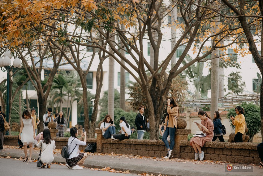 Sự thật phũ phàng tại con đường tình yêu đẹp nhất Hà Nội: Lá vàng rụng hết, người chật như nêm tranh chụp ảnh sống ảo - Ảnh 10.