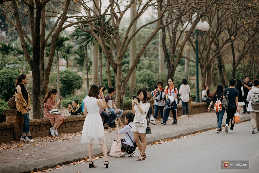 Sự thật phũ phàng tại con đường tình yêu đẹp nhất Hà Nội: Lá vàng rụng hết, người chật như nêm tranh chụp ảnh sống ảo - Ảnh 1.