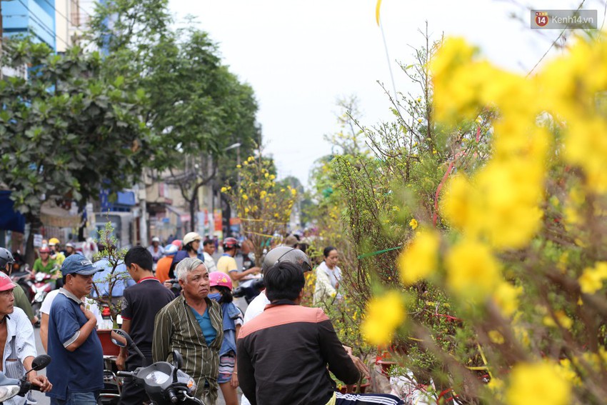 Chùm ảnh: Những chiếc thuyền đầy ắp hoa xuân cập bến ở Sài Gòn qua góc nhìn xinh xắn từ flycam - Ảnh 7.