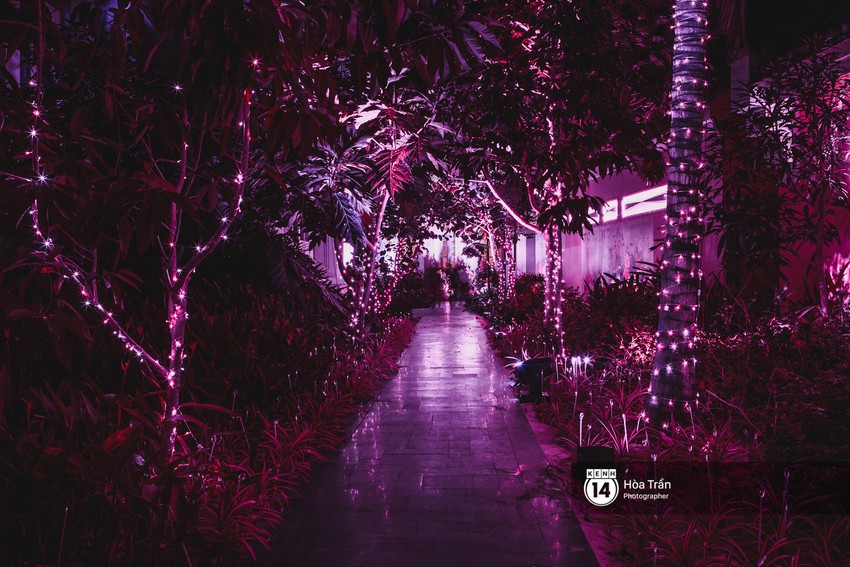 Cặp đ&ocirc;i tỷ ph&uacute; Ấn Độ lộng lẫy c&ugrave;ng c&aacute;c kh&aacute;ch mời đại gia v&agrave;o đ&ecirc;m tiệc Pink Party đầu ti&ecirc;n ở Ph&uacute; Quốc - Ảnh 2.