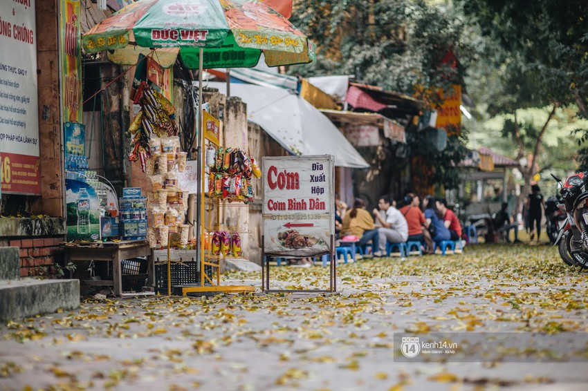 Hà Nội mùa lá rụng: Khi mọi thứ bỗng trở nên đẹp hoàn hảo như một thước phim! - Ảnh 7.