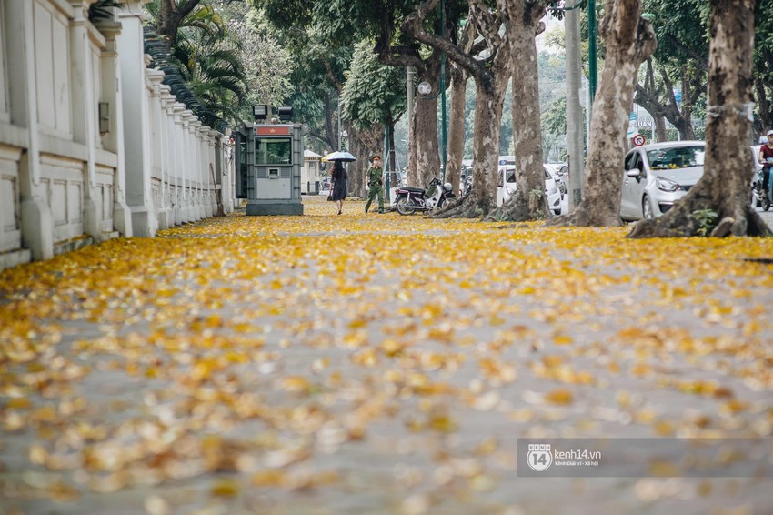 Hà Nội mùa lá rụng: Khi mọi thứ bỗng trở nên đẹp hoàn hảo như một thước phim! - Ảnh 2.