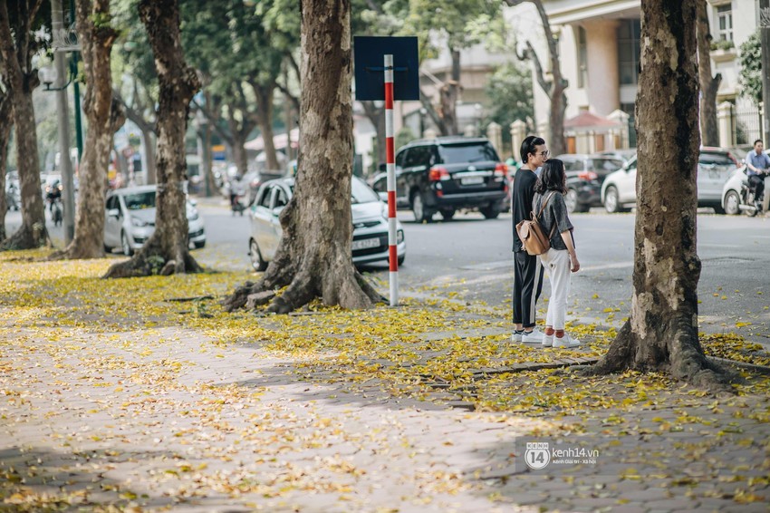 Hà Nội mùa lá rụng: Khi mọi thứ bỗng trở nên đẹp hoàn hảo như một thước phim! - Ảnh 8.