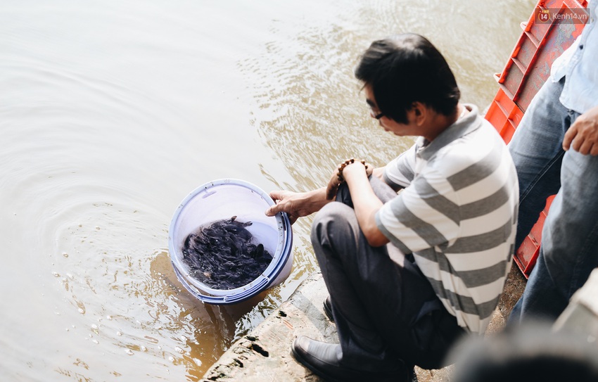 Ảnh: Chi 20 triệu mua cá chép rồi đi thuyền ra giữa sông để phóng sinh, người phụ nữ Sài Gòn vẫn choáng đặc khi thấy gã thanh niên lao theo chích điện để vớt cá - Ảnh 15.