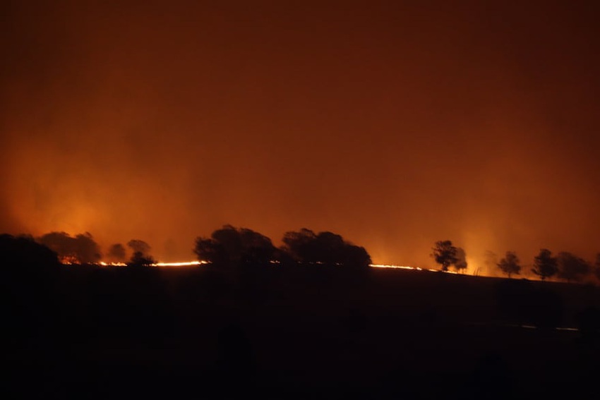 Một ngày cuối tuần chiến đấu với cháy rừng ở Úc: Khung cảnh hoang tàn trong lửa đỏ, cả con người và động vật đều phải xót xa đến rơi nước mắt - Ảnh 7.