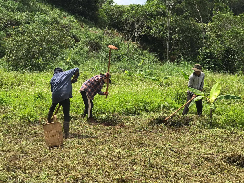 Những mẩu chuyện chưa kể của đôi vợ chồng trẻ bỏ phố về rừng: Không phải ai sinh ra cũng để trồng rau, nuôi cá - Ảnh 7.