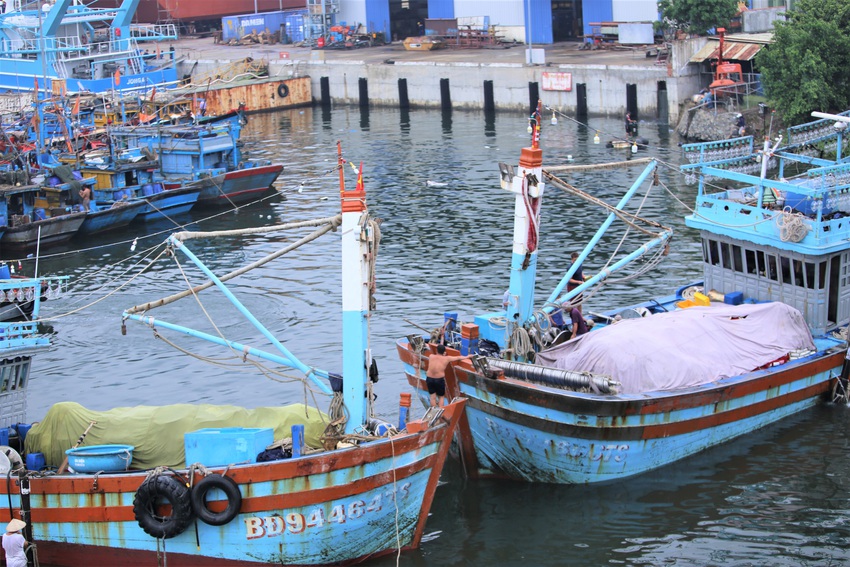 Hàng trăm tàu thuyền Đà Nẵng ngược dòng, nối đuôi nhau tiến vào sông Hàn tránh bão - Ảnh 7.