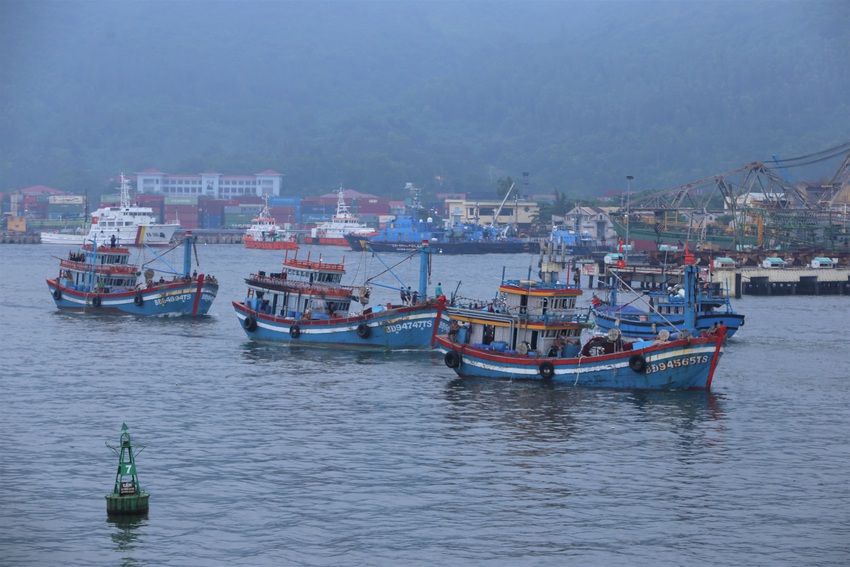 Hàng trăm tàu thuyền Đà Nẵng ngược dòng, nối đuôi nhau tiến vào sông Hàn tránh bão - Ảnh 3.
