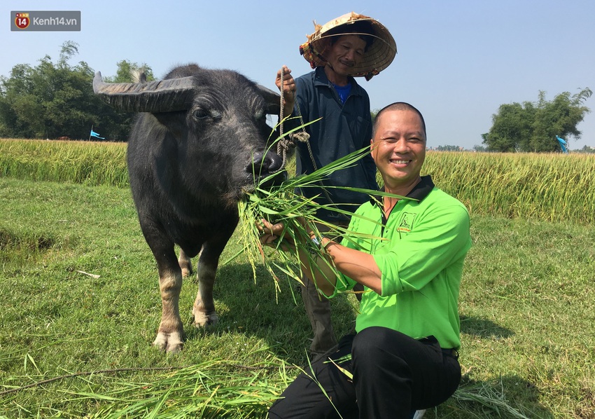 Nông dân Hội An thu đô la nhờ xịt nước hoa, bôi phấn cho… trâu để làm du lịch - Ảnh 4.