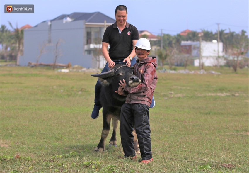 Nông dân Hội An thu đô la nhờ xịt nước hoa, bôi phấn cho… trâu để làm du lịch - Ảnh 9.