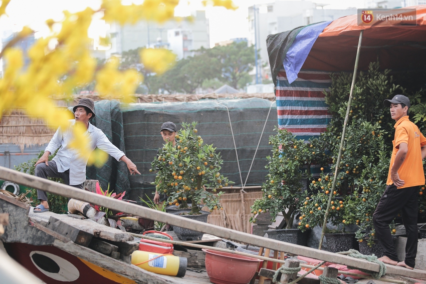 Thuyền hoa đã cập bến Bình Đông nhưng sức mua thấp, nhiều nhà vườn lo lắng - Ảnh 10.