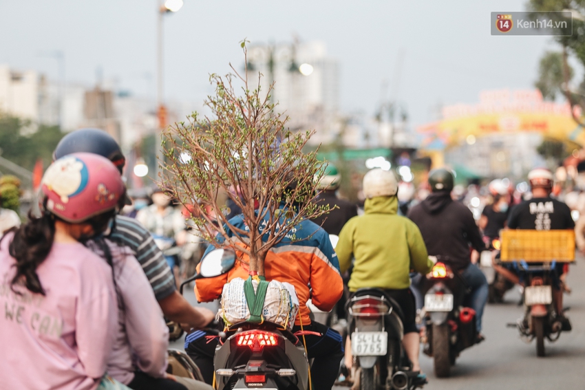 Thuyền hoa đã cập bến Bình Đông nhưng sức mua thấp, nhiều nhà vườn lo lắng - Ảnh 17.