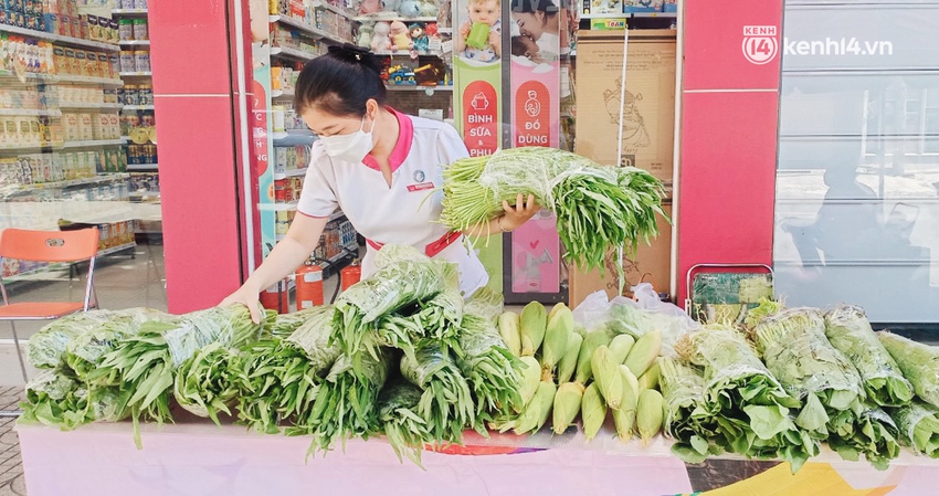 TP.HCM: Cửa hàng Con Cưng bắt đầu bán rau củ, người dân thấy giá bình dân nên mua luôn - Ảnh 10.