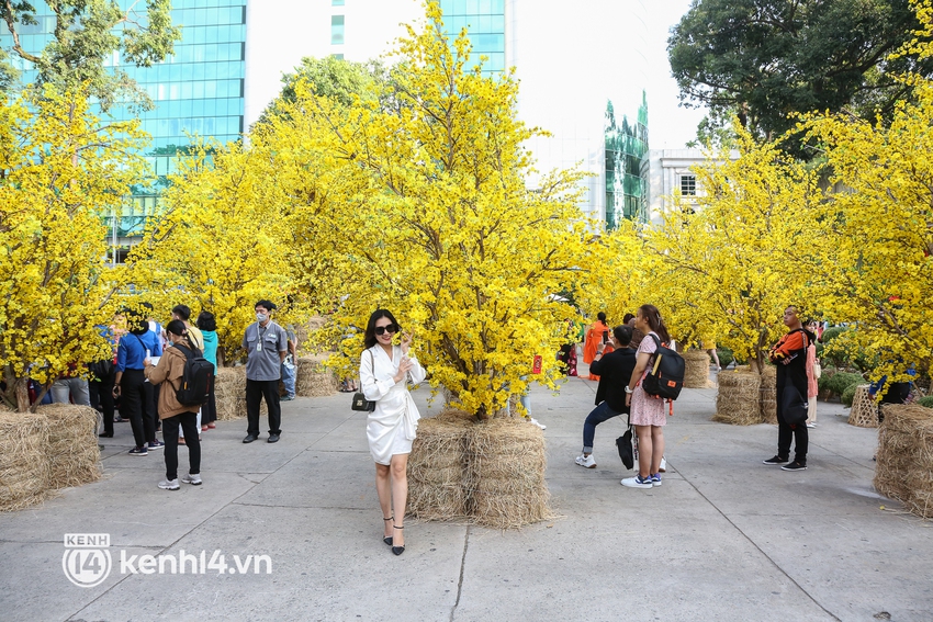 Ảnh: Phố ông đồ, đường mai vàng ở TP.HCM đã mở cửa, không khí Tết tràn ngập hơn bao giờ hết - Ảnh 6.