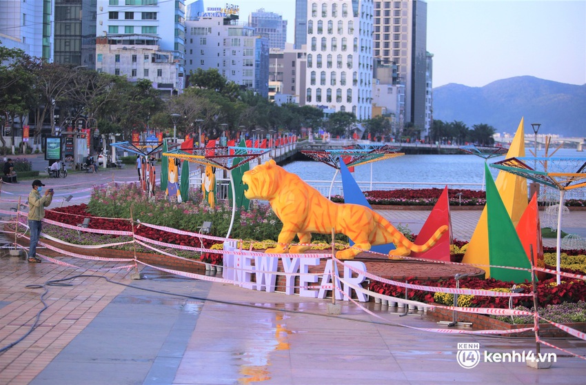 Đến lượt linh vật hổ Đà Nẵng trình làng tại đường hoa, nhan sắc thế nào so với hổ các tỉnh khác? - Ảnh 8.