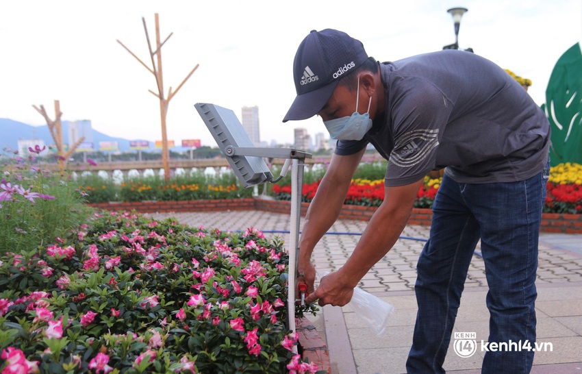 Đến lượt linh vật hổ Đà Nẵng trình làng tại đường hoa, nhan sắc thế nào so với hổ các tỉnh khác? - Ảnh 12.