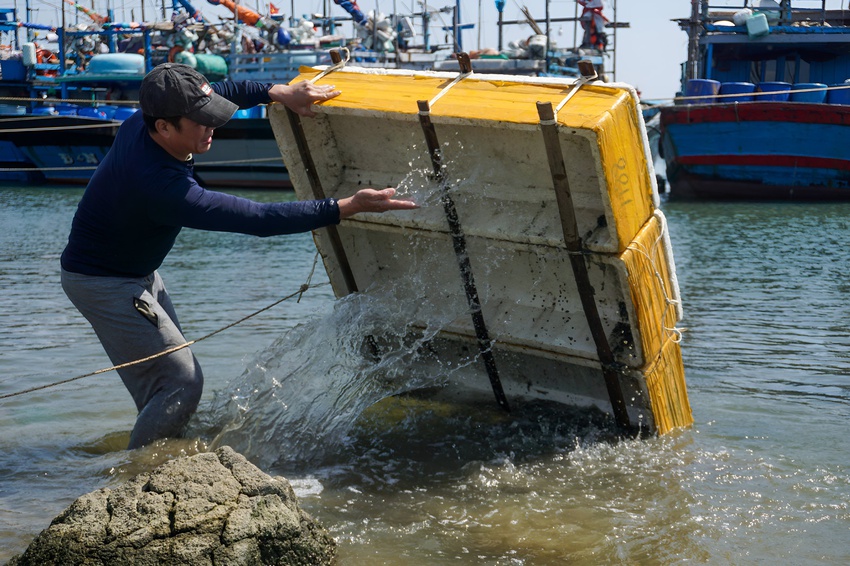 Ảnh: Những ngư dân cột hơn 10kg chì vào người, lặn xuống đáy sông Hàn mưu sinh ngày giá rét - Ảnh 2.