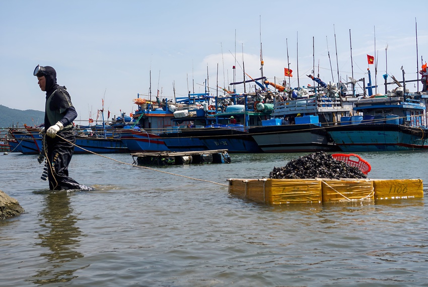 Ảnh: Những ngư dân cột hơn 10kg chì vào người, lặn xuống đáy sông Hàn mưu sinh ngày giá rét - Ảnh 1.