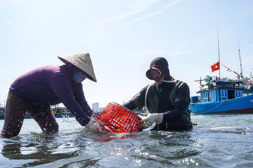 Ảnh: Những ngư dân cột hơn 10kg chì vào người, lặn xuống đáy sông Hàn mưu sinh ngày giá rét - Ảnh 13.