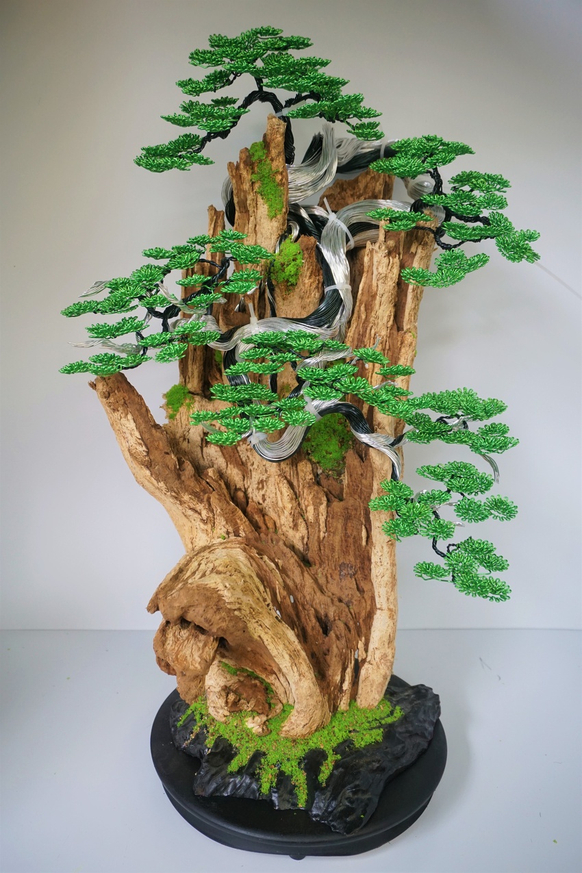 Kỹ sư bỏ việc nghìn đô, về làm bonsai bất tử bán cho đại gia: Doanh thu hơn 100 triệu đồng/ tháng - Ảnh 3.