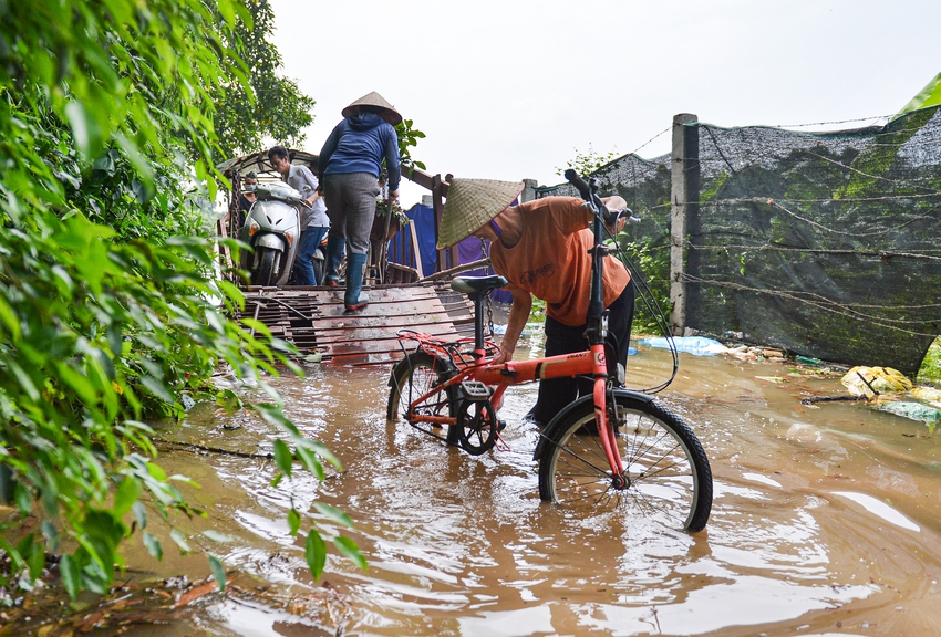 H&agrave; Nội: Nước s&ocirc;ng d&acirc;ng cao, người d&acirc;n b&atilde;i giữa s&ocirc;ng Hồng phải đi đ&ograve; v&agrave;o nội đ&ocirc; mưu sinh - Ảnh 2.