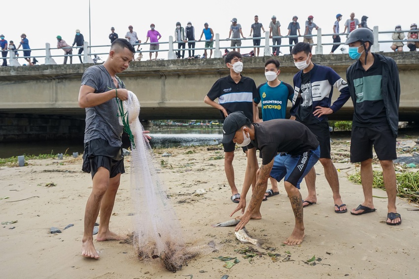 Nghề độc chỉ có sau bão ở Đà Nẵng: Ra biển săn cá nước ngọt khủng - Ảnh 15.