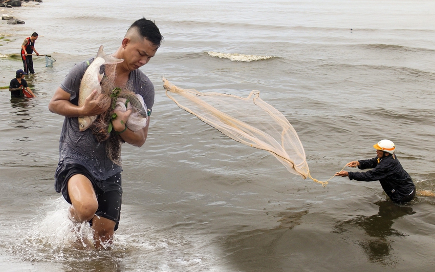 Nghề độc chỉ có sau bão ở Đà Nẵng: Ra biển săn cá nước ngọt khủng - Ảnh 1.
