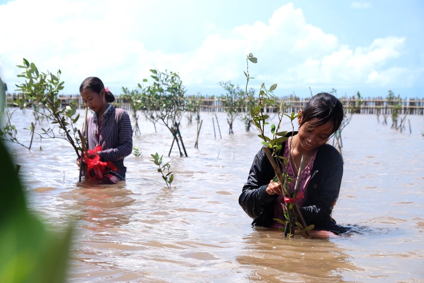 Phía sau bức vẽ cánh rừng của cậu bé lớp 4 và dòng chữ Không được chặt cây: Tụi em thích đi rừng đi biển lắm! - Ảnh 1.