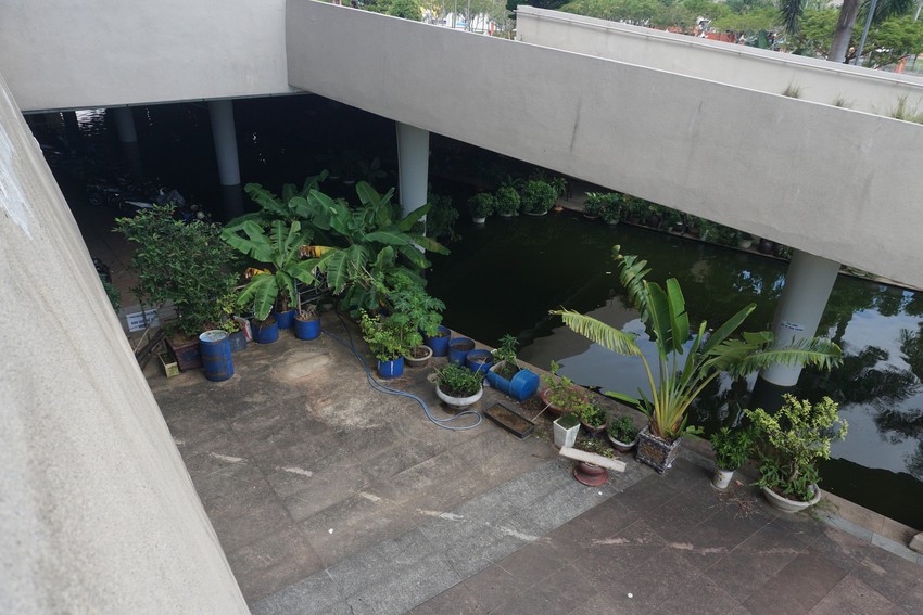Khắc phục cảnh nhếch nh&aacute;c ở cung thể thao đĩa bay giữa trung t&acirc;m Đ&agrave; Nẵng - Ảnh 14.