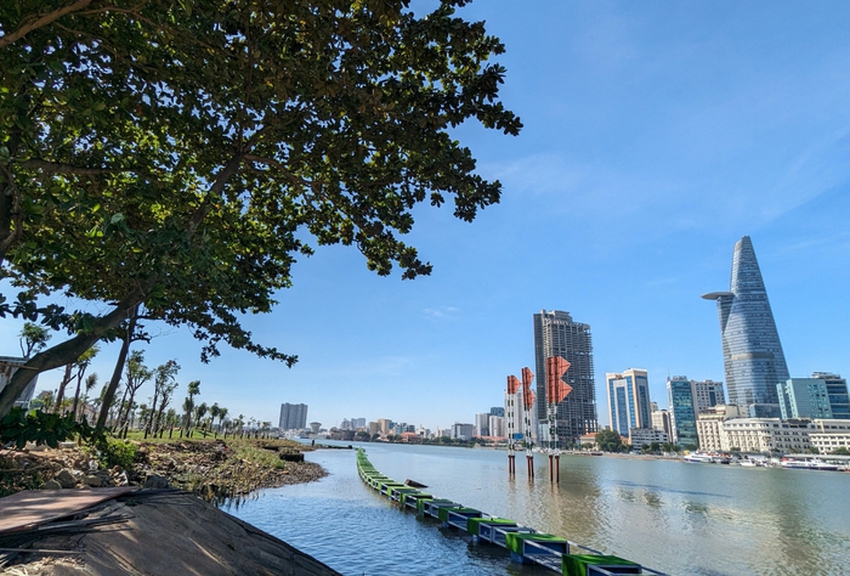 Vườn hoa hướng dương bên sông Sài Gòn sẵn sàng khoe sắc dịp Giáng sinh - Ảnh 9.